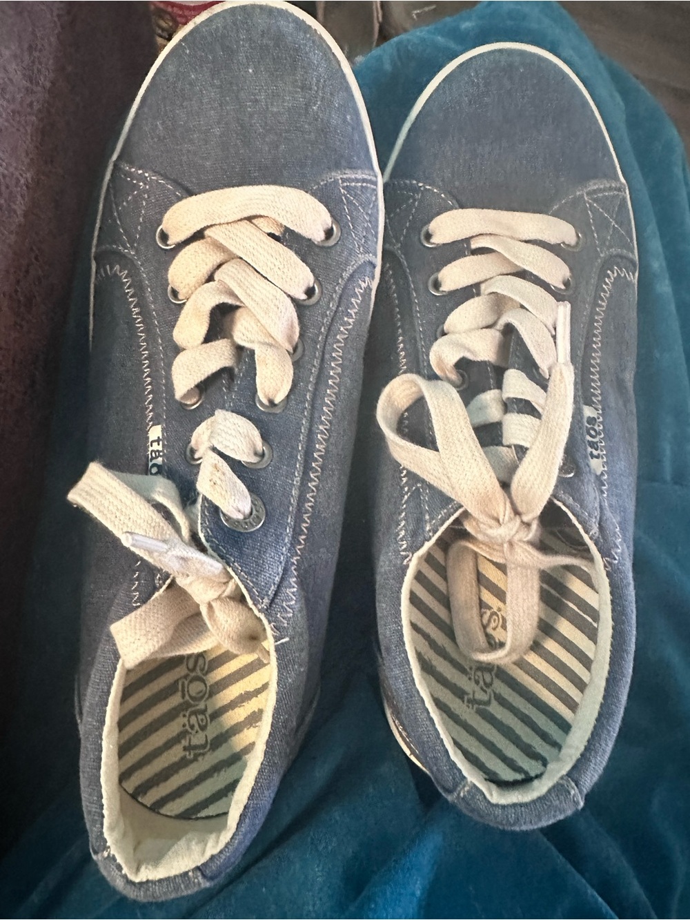 Taos Blue Canvas Lace-Up Sneakers with Cream Laces - Picture 7 of 7